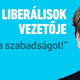 Illustration for article titled Freudi elszólás Fodor Gábor kampányposzterén